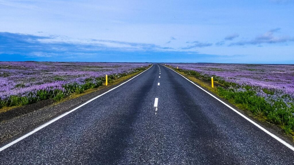 pexels francesco ungaro 464332