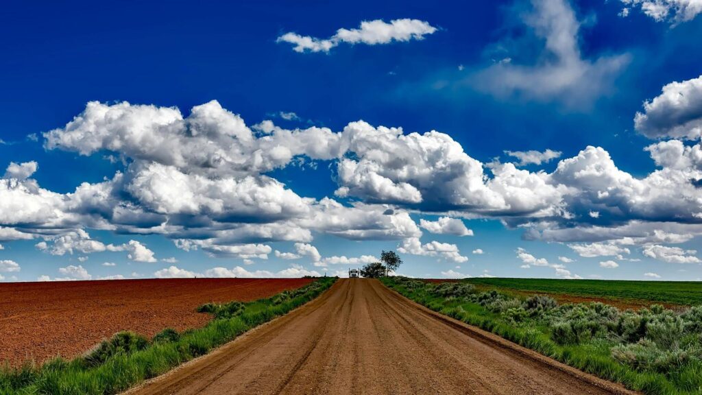 pexels pixabay 220002